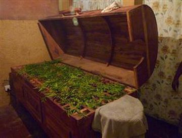 Imagen de los interiores del Hotel Pelwehera Village Resort. Foto 7