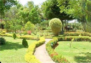 Imagen de los interiores del Hotel Pelwehera Village Resort. Foto 8