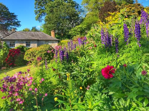 Imagen general del Hotel Pen-Y-Dyffryn Country. Foto 3