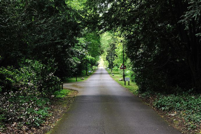 Imagen de los interiores del Hotel Pendley Manor. Foto 14