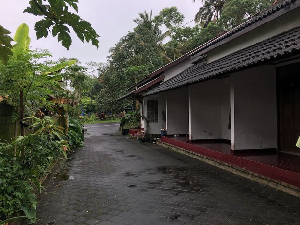 Imagen general del Hotel Penginapan Cipto Wening. Foto 1