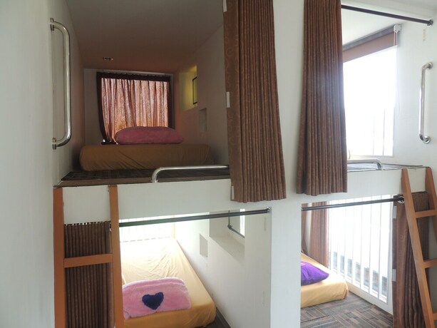 Imagen general del Hotel Penginapan Dieng 0km. Foto 15