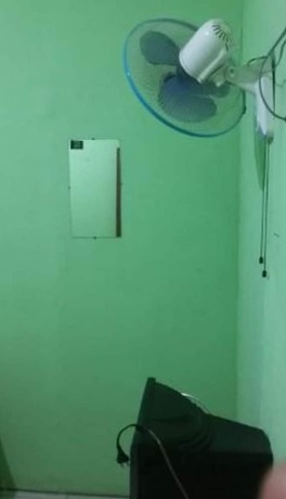 Imagen de la habitación del Hotel Penginapan Istana. Foto 11