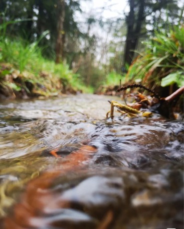 Imagen general del Hotel Peninsula Motel. Foto 7