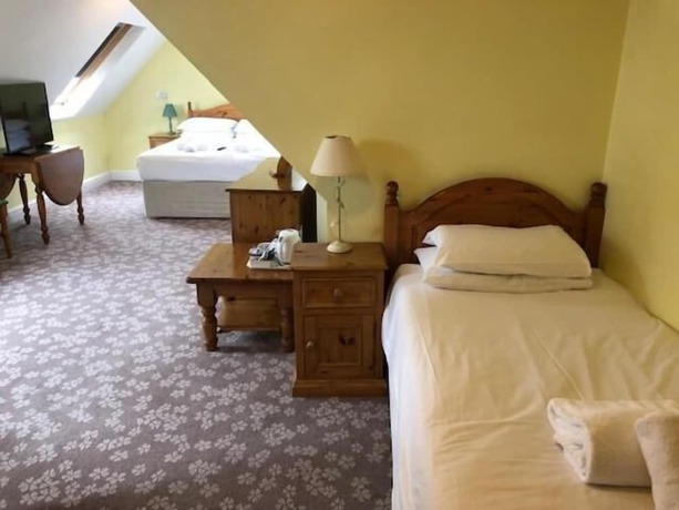 Imagen de la habitación del Hotel Penny Farthing. Foto 15