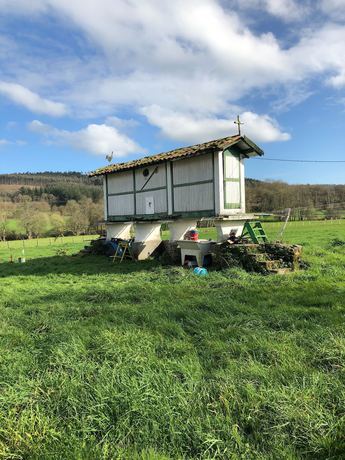 Imagen general del Hotel Pensión Albergue Los Caminantes - Hostel. Foto 4