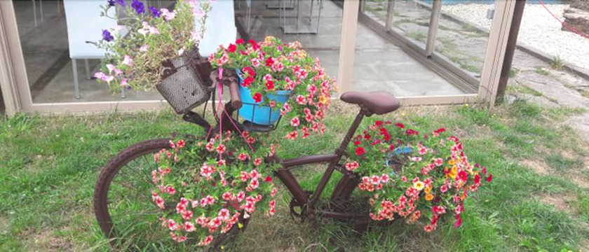 Imagen de los exteriores del Hotel Pensión Albergue Turístico Salceda. Foto 10