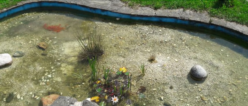 Imagen de los exteriores del Hotel Pensión Albergue Turístico Salceda. Foto 11