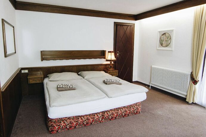 Imagen de la habitación del Hotel Pension Baranek. Foto 5