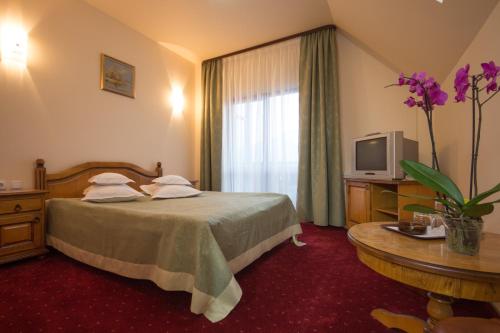 Imagen de la habitación del Hotel Pension Dor De Munte. Foto 9
