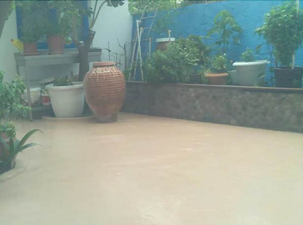 Imagen de los exteriores del Hotel Pension Gina. Foto 16