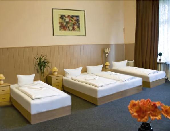 Imagen de la habitación del Hotel Pension Rheingold. Foto 8