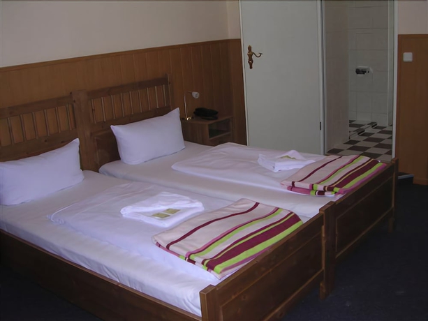 Imagen de la habitación del Hotel Pension Rheingold. Foto 14