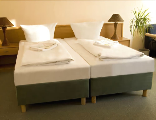 Imagen de la habitación del Hotel Pension Rheingold. Foto 16