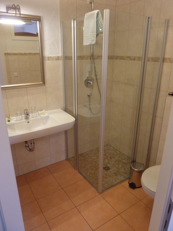 Imagen de la habitación del Hotel Pension Zum Schlangenkoenig. Foto 4