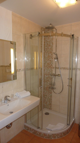 Imagen de la habitación del Hotel Pension Zum Schlangenkoenig. Foto 18