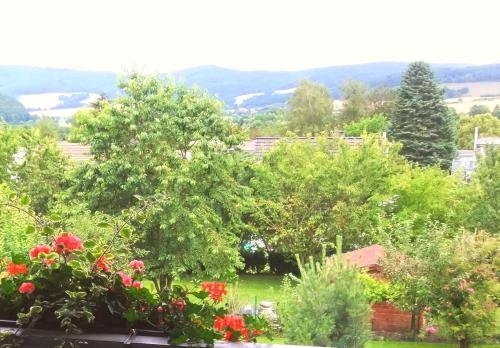 Imagen de la habitación del Hotel Pension and Caf&eacute; Meine Sonne .....sole Mio. Foto 9