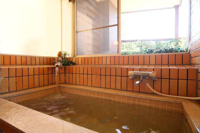Imagen general del Hotel Pension and Cottage Silver Spray. Foto 4