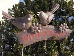 Imagen general del Hotel Pension-Appartements Waldruh. Foto 5