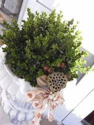 Imagen general del Hotel Pension-Appartements Waldruh. Foto 6