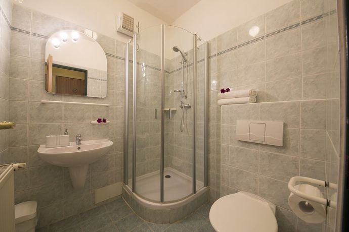Imagen de la habitación del Hotel Pensionandrestaurace Zelen&yacute; Ml&yacute;n. Foto 7