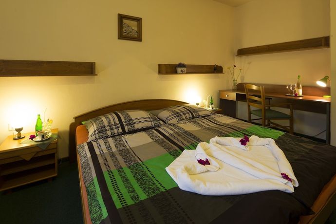 Imagen de la habitación del Hotel Pensionandrestaurace Zelen&yacute; Ml&yacute;n. Foto 8