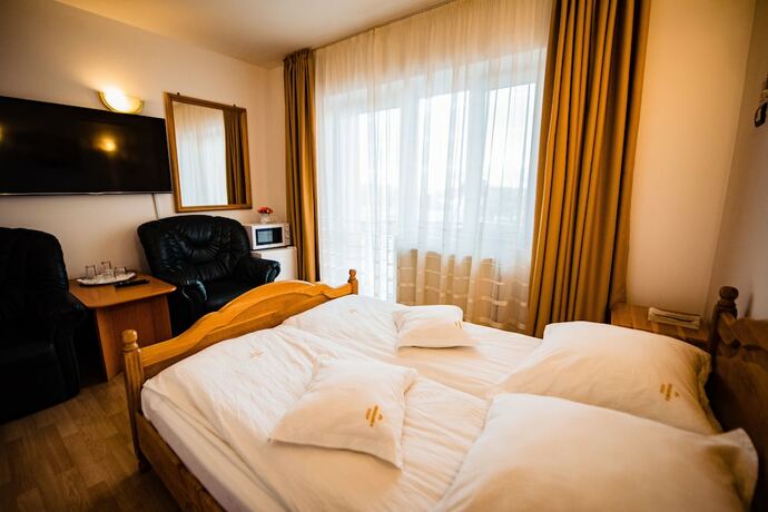 Imagen de la habitación del Hotel Pensiune Roua. Foto 19