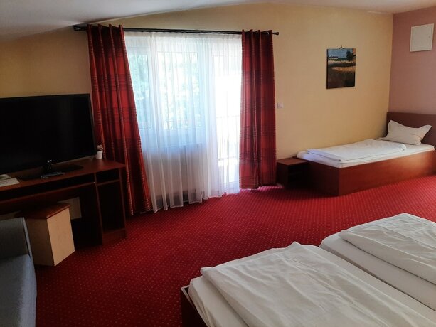Imagen general del Hotel Pensiune Safrane, Pecinișca. Foto 3