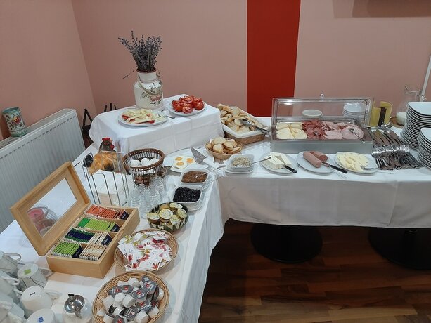 Imagen general del Hotel Pensiune Safrane, Pecinișca. Foto 5