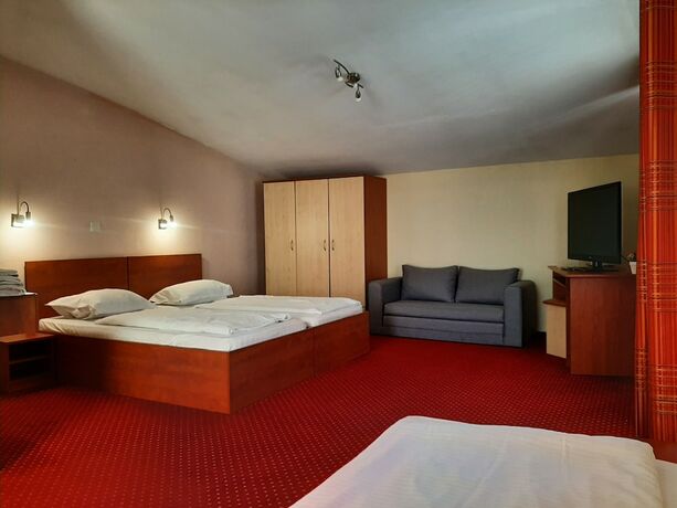 Imagen general del Hotel Pensiune Safrane, Pecinișca. Foto 8