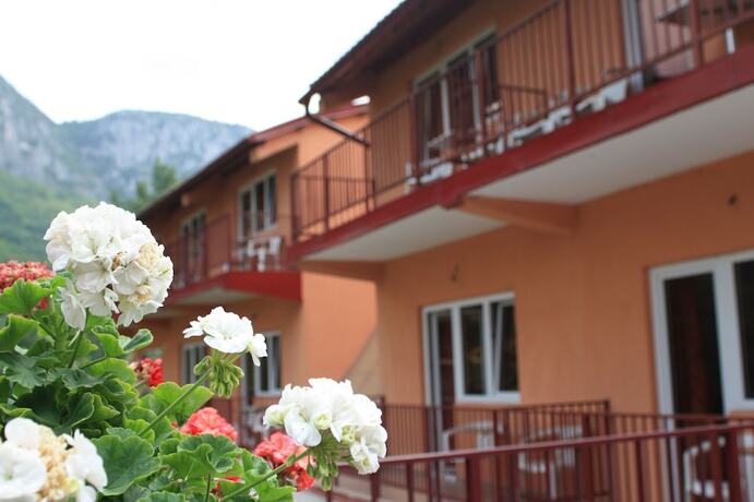 Imagen general del Hotel Pensiune Safrane, Pecinișca. Foto 13