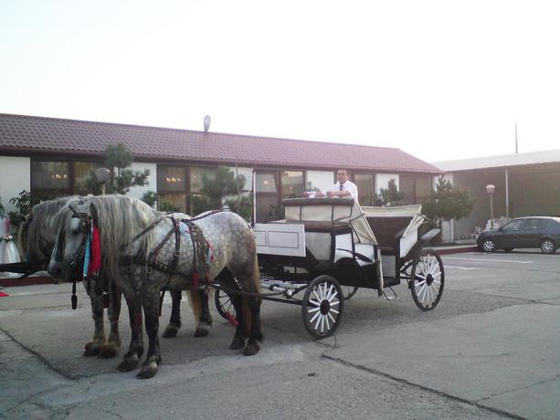 Imagen de los exteriores del Hotel Pensiunea Ada. Foto 7