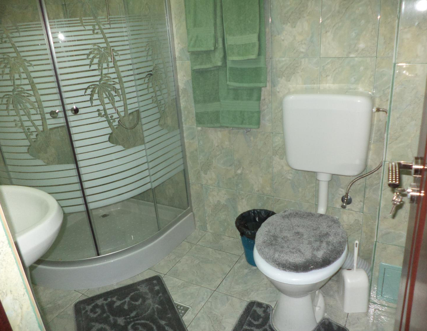 Imagen general del Hotel Pensiunea Anca. Foto 4