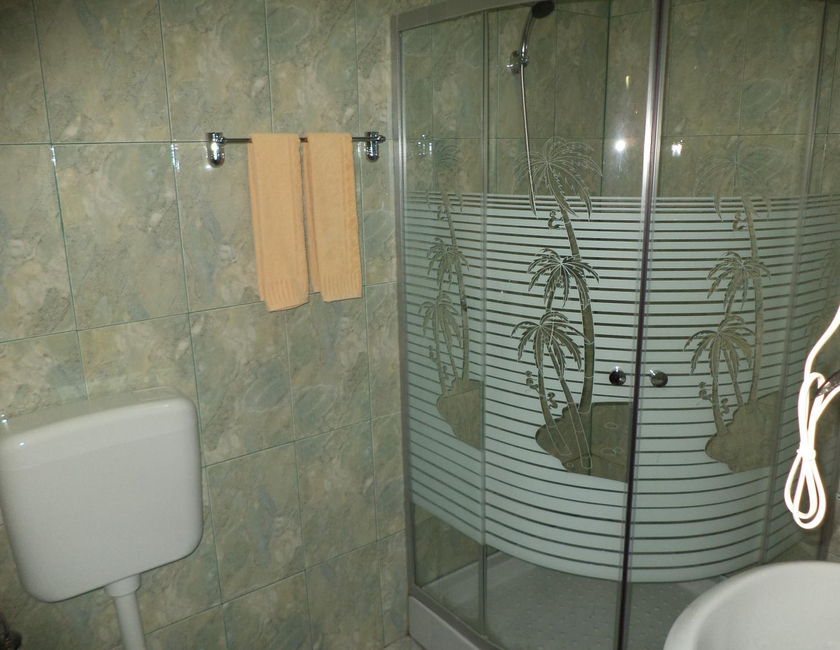 Imagen general del Hotel Pensiunea Anca. Foto 11