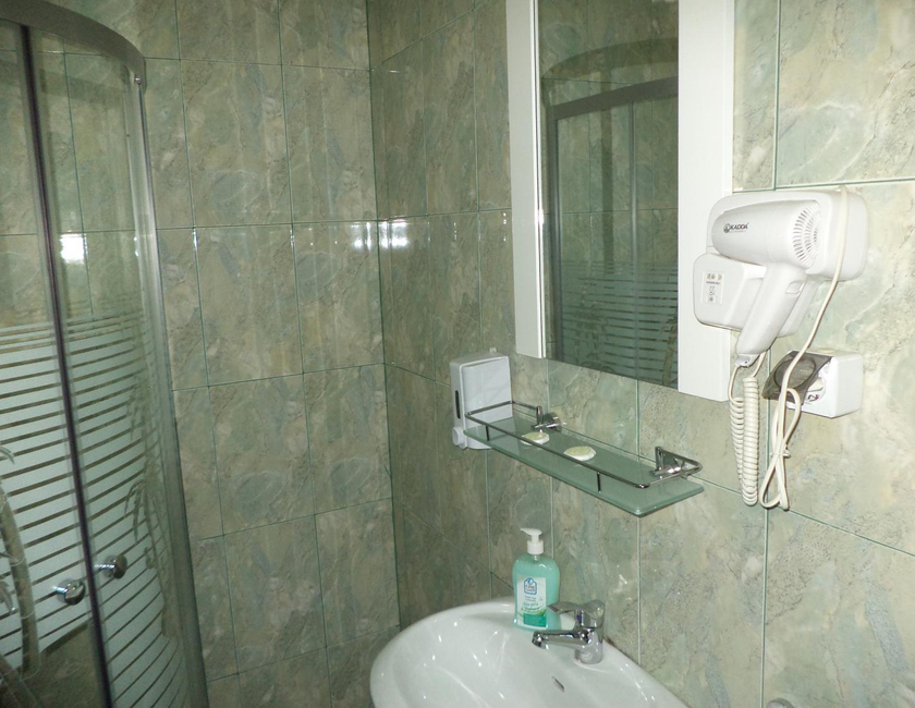 Imagen general del Hotel Pensiunea Anca. Foto 12