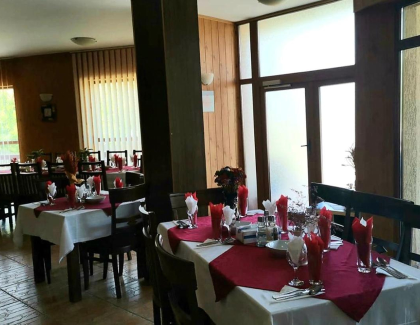 Imagen general del Hotel Pensiunea Anca. Foto 21