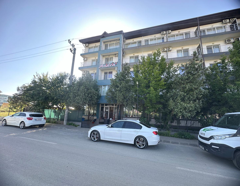 Imagen general del Hotel Pensiunea Andra. Foto 3