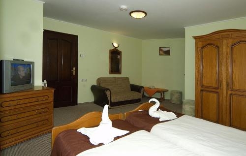 Imagen de la habitación del Hotel Pensiunea Andrei Moieciu. Foto 8