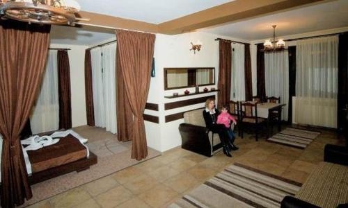 Imagen de la habitación del Hotel Pensiunea Andrei Moieciu. Foto 10