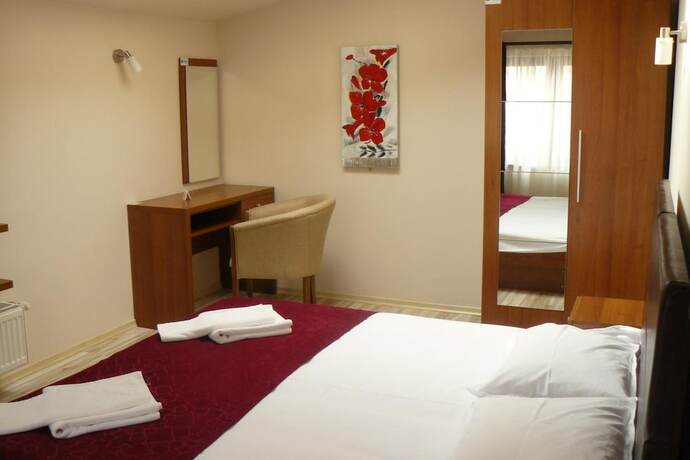 Imagen general del Hotel Pensiunea Andy. Foto 6