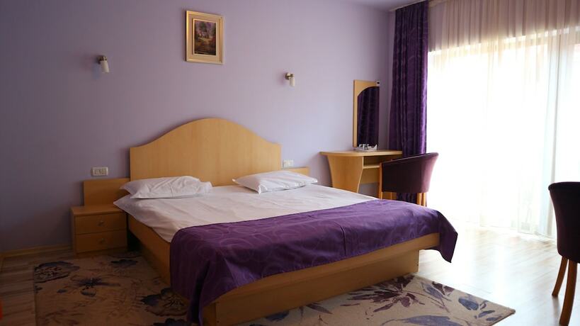 Imagen de la habitación del Hotel Pensiunea Andy. Foto 17