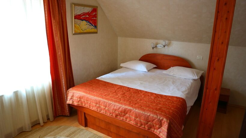 Imagen de la habitación del Hotel Pensiunea Andy. Foto 19