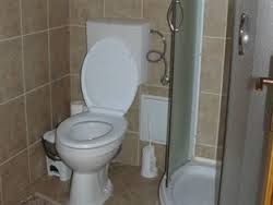 Imagen de los interiores del Hotel Pensiunea Ara. Foto 6