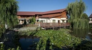 Imagen general del Hotel Pensiunea Ara. Foto 2