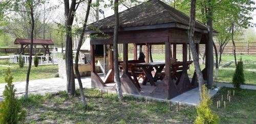 Imagen general del Hotel Pensiunea Arido. Foto 3