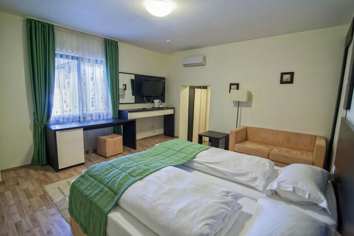 Imagen de la habitación del Hotel Pensiunea Aristocratis. Foto 13