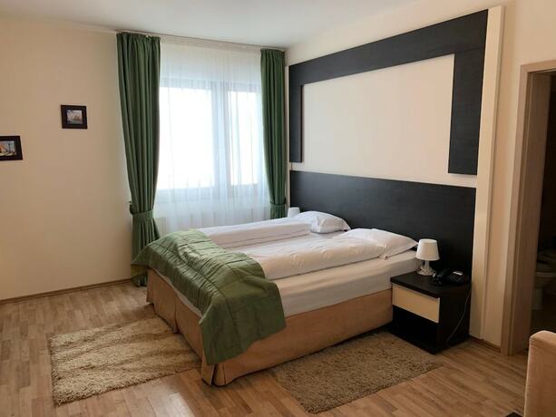 Imagen general del Hotel Pensiunea Aristocratis. Foto 9