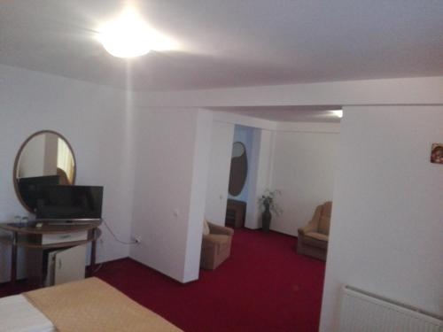 Imagen de la habitación del Hotel Pensiunea Balan. Foto 8