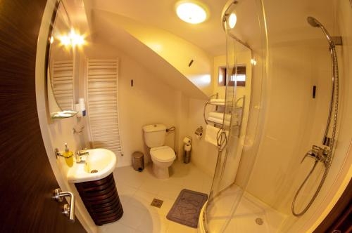 Imagen de la habitación del Hotel Pensiunea Carpatic. Foto 7