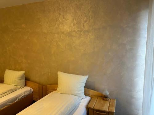 Imagen general del Hotel Pensiunea Casa Saxonia. Foto 14